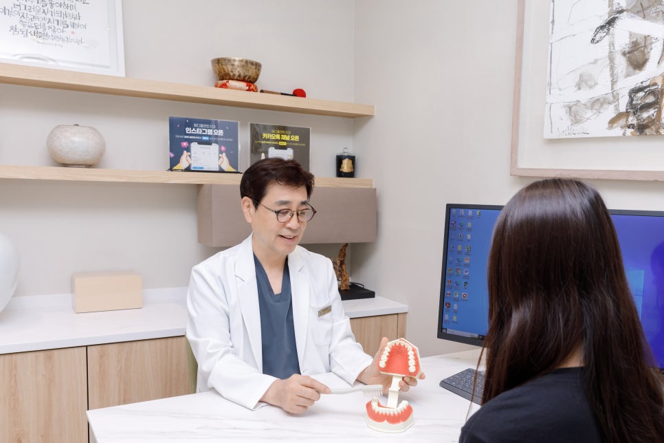 메디플란트치과